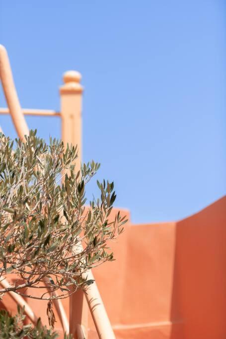 Riad Le Petit Bacha Marrakesh Esterno foto